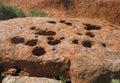 Close up view of holes in the rock from the Uluru base walk