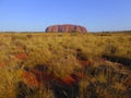 Uluru rock on horizon