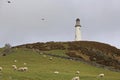 Hoad Hill and the Sir John Barrow Monument, Ulverston, Cumbria, England, UK