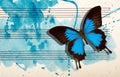 Ulysses blue butterfly and notes. Butterfly melody. Photo of old music sheet in blue watercolor paint. Blues music concept. Abstra Royalty Free Stock Photo