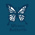 Ulysses butterfly. Papilio Ulysses. Blue Mountain Butterfly or Blue Mountain Swallowtail isolated on dark blue background. Brutal Royalty Free Stock Photo