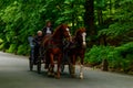 Tourists ride a horse-drawn carriage in Sofiyivka park in Uman, Ukraine Royalty Free Stock Photo