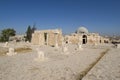 Umayyad Palace, Amman, Jordan Royalty Free Stock Photo