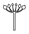 Umbel bouquet icon