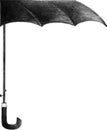 Umbrella Royalty Free Stock Photo