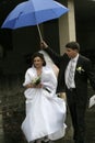 Umbrella above the young wife