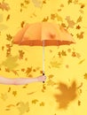 Umbrella against yellow background with autumn leaves
