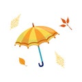 Umbrella As Autumn Attribute