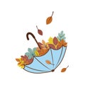 An umbrella with autumn leaves inside that fall into it, vector illustration of an autumn day Royalty Free Stock Photo