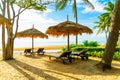 umbrella and beach chair with coconut palm tree and sea beach background and blue sky Royalty Free Stock Photo