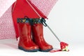 Umbrella and boots Royalty Free Stock Photo