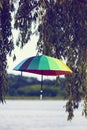 Umbrella decor concept