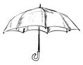 Umbrella drawing, illustration, vector