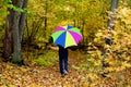 Umbrella Forest