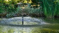 Umbrella Fountain on the green surface of the pond in the old shady garden. Freshness of water jets creates a mood of relaxation Royalty Free Stock Photo