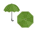 Umbrella green with polka dot on white background Royalty Free Stock Photo