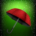 Umbrella and green snow background