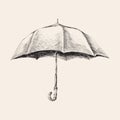 Umbrella hand drawn sketch vector illustration