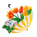 An umbrella inside which spring flowers grow Royalty Free Stock Photo