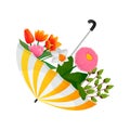 an umbrella inside which spring flowers grow Royalty Free Stock Photo