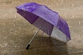 Umbrella at intense rainy weather Royalty Free Stock Photo