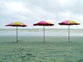 Umbrella at kuakata beach, Bangladesh Royalty Free Stock Photo