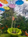 Umbrella made from plants and hanging colorful umbrellas
