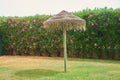 Umbrella made of straw in a pool with grass