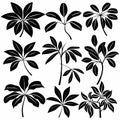 Umbrella Plant (Schefflera Arboricola), Pot Plant Flat Icon Set, Umbrella Plant Flat Design