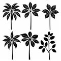 Umbrella Plant (Schefflera Arboricola), Pot Plant Flat Icon Set, Umbrella Plant Flat Design