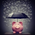 Umbrella protecting piggy bank savings from tax Royalty Free Stock Photo