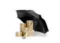 Umbrella protection coins savings