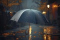 Umbrella provides shelter from rain in dreary weather conditions