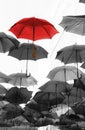 Umbrella standing out from the crowd unique Royalty Free Stock Photo