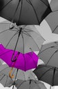 Umbrella standing out from the crowd unique Royalty Free Stock Photo