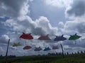 Umbrella, tea garden, landscape