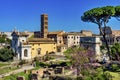 Umbrella Trees Ancient Forum Titus Arch Roman Colosseum Rome Italy Royalty Free Stock Photo