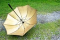 Umbrella upside down on grass background. Gold umbrella upside down