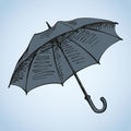 Umbrella. Vector drawing