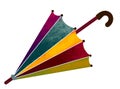 Rain umbrella. Painted, multicolored umbrella on on white background- Illustration