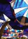 Umbrellas beach