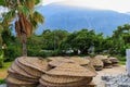 Umbrellas for the beach with selective focus. Preparation for the tourist season. August 5, 2022 Beldibi Turkey