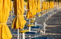 Umbrellas and chairs on a bathing establishment Royalty Free Stock Photo