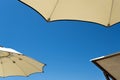 Umbrellas and chaise longues with blue skies