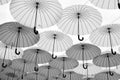 Umbrellas float in sky on sunny day. Umbrella sky project installation. Outdoor art design and decor. Holiday and