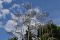 Umbrellas installation in Athens, Greece