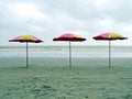 Umbrellas at Kuakata beach, Bay of Bengal, Ganga delta, Bangladesh Royalty Free Stock Photo