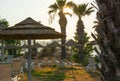 Umbrellas, lounge chairs, palm trees on the beach.