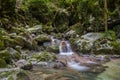 Umbria forest paradise Royalty Free Stock Photo