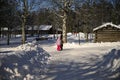 Umea, Sweden - March 07, 2020 Tranquil view of kids playing under the shadow of pine tree on untouched snow